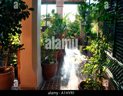 Riad marocain, toit-terrasse du riad Jnane Mogador, Marrakech, Maroc, Afrique du Nord-Ouest Banque D'Images