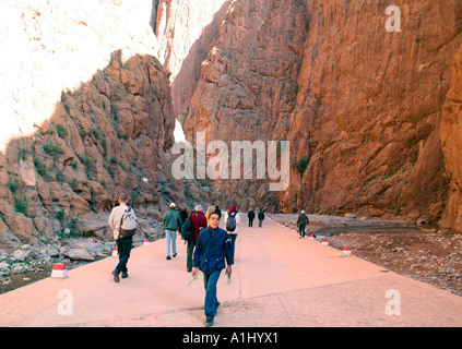 Gorges de Todra près de Tinerhir, Maroc, Afrique du Nord-Ouest Banque D'Images