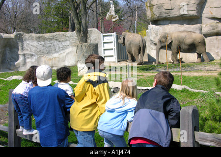 Les montres de la famille des éléphants au zoo de Detroit Banque D'Images