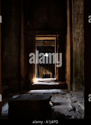 Wat Ta Prohm temple Angkor Cambodge Banque D'Images