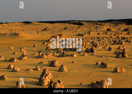 L'Australie l'Australie Occidentale Parc National de Nambung Les Pinnacles Banque D'Images