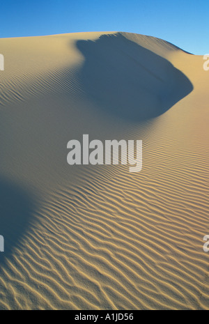 L'Australie Queensland Fraser Island sand dune Banque D'Images