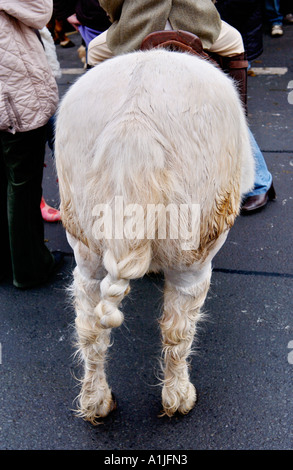 Golden Valley Hunt assembler à l'horloge de la ville Square à Hay-on-Wye Powys Pays de Galles UK GO dirty pony en manteau d'hiver Banque D'Images
