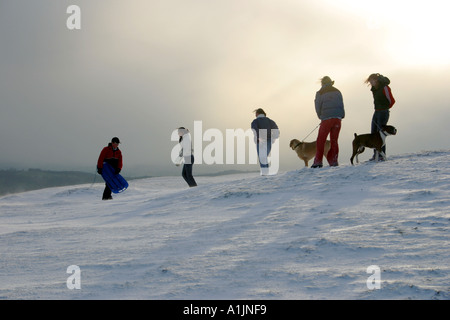 Cinq jeunes gens marcher avec deux chiens le long de collines de Malvern enneigé juste après une tempête de neige Tempête de neige sur l'Herefordshire Beacon Malve Banque D'Images