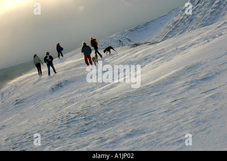 Cinq jeunes gens marcher avec deux chiens le long de collines de Malvern enneigé juste après une tempête de neige Tempête de neige sur l'Herefordshire Beacon Malve Banque D'Images