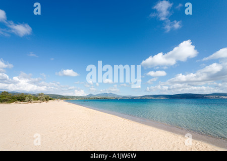 Golden Beach, Yialova, Messénie, Péloponnèse, Grèce Banque D'Images