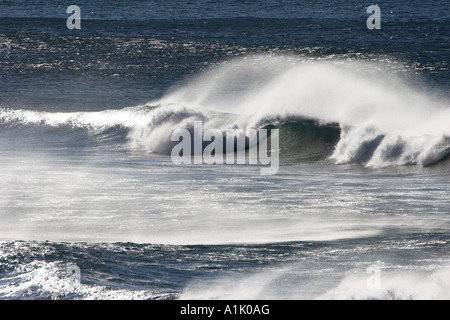 Vagues se brisant sur la plage de Noth sur la côte de l'Oregon à Yachats Banque D'Images