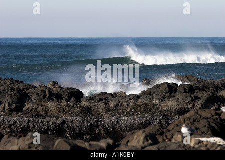 Vagues se brisant sur les rochers de Noth sur la côte de l'Oregon à Yachats Banque D'Images