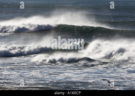 Vagues se brisant sur la plage de Noth sur la côte de l'Oregon à Yachats Banque D'Images