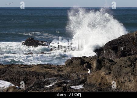 Vagues se brisant sur les rochers de Noth sur la côte de l'Oregon à Yachats Banque D'Images