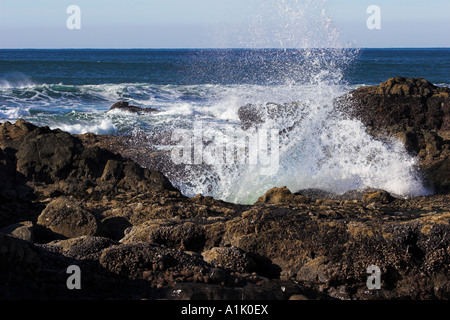 Vagues se brisant sur les rochers de Noth sur la côte de l'Oregon à Yachats Banque D'Images