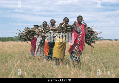 Les femmes masaï à transporter le bois des plaines Aitong près de la réserve nationale de Masai Mara au Kenya Banque D'Images