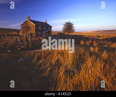 La ruine à l'abandon de moniales Cross ferme près de Princetown Devon Dartmoor sur UK Banque D'Images