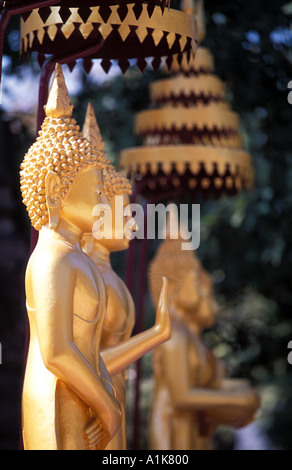 Bouddhas debout dans l'enceinte de Wat Sisaket construit 1818 sous le Roi Anou Vientiane Laos Banque D'Images