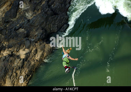 Le saut de l'Chutes Victoria, Zambie, Zimbabwe, pont Banque D'Images