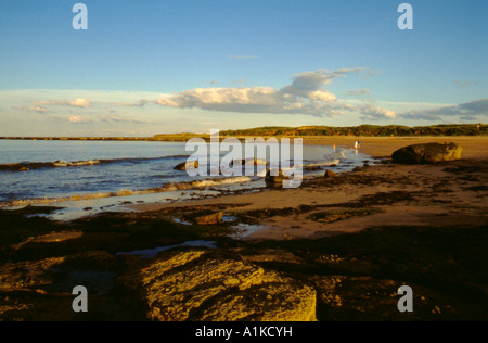 Famille seul sur une plage déserte, près de l'exploitation des sables bitumineux de sucre ; Longhoughton, Northumberland, England, UK. Banque D'Images