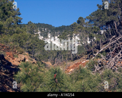 Montagnes couvertes de neige. La neige sur les montagnes espagnoles, la Sierra de las Nieves, Serranías de Ronda, Andalousie, Espagne, Mars 2005 Banque D'Images