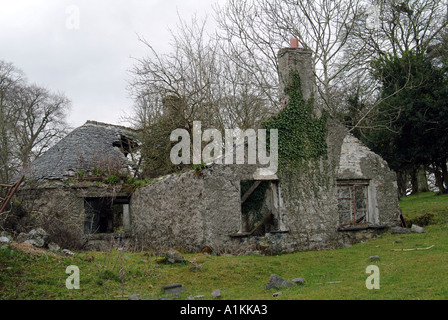 Maison à l'abandon du sud de l'Irlande, Eire UE Banque D'Images