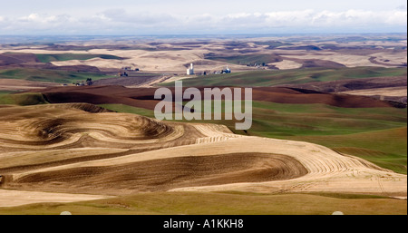 Les champs de blé d'hiver récolté et les champs en jachère vu de Steptoe Butte dans Whitman Comté Washington Banque D'Images