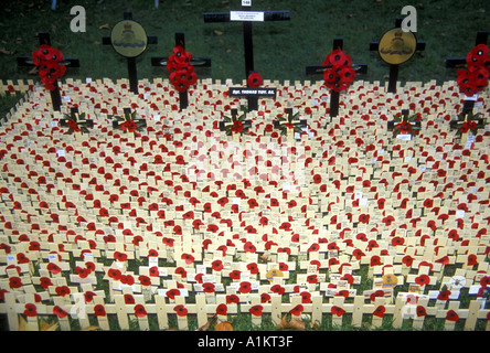 Croix du jour du souvenir et coquelicots rouges pour les morts de guerre placés à l'extérieur de l'abbaye de Westminster à Londres, jour de l'armistice, 11 novembre Banque D'Images