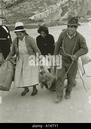 Prendre un cochon au marché local dans la Communauté andine ville minière de La Oroya Pérou 1967 vertical monochrome Banque D'Images