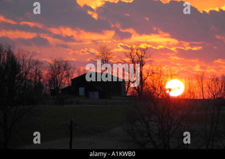 De soleil colorés sur un Pâturin du Kentucky ferme avec le soleil à l'horizon, à côté d'une grange tabac burley en silhouette Banque D'Images