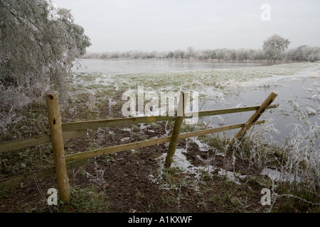 Les inondations d'hiver de prés au Coombe Hill Nature Reserve, Gloucestershire Wildlife Trust. Banque D'Images