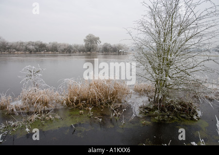 Les inondations d'hiver de prés au Coombe Hill Nature Reserve, Gloucestershire Wildlife Trust. Banque D'Images