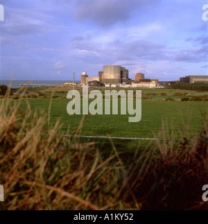 Nucléaire Wylfa Power Station Anglesey Gwynedd au nord du Pays de Galles UK KATHY DEWITT Banque D'Images