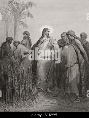 Gravure de la Dore illustrant la Bible Mark II 23. Jésus et ses disciples dans le champ de maïs par Gustave Dore Banque D'Images