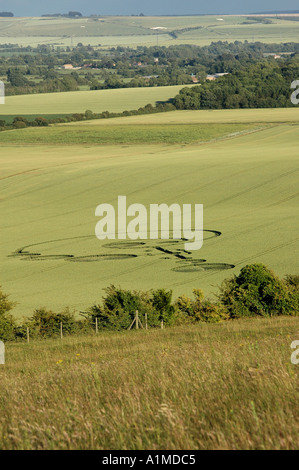 Crop Circle à l'East Field nr Alton Barnes Wiltshire a signalé 20 Juin 2004 Banque D'Images