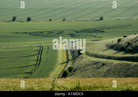 Crop Circle nr Alton Barnes Wiltshire rapporté Juin 2004 Banque D'Images