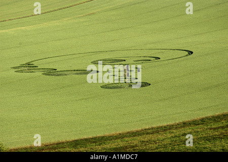 Crop Circle à l'East Field nr Alton Barnes Wiltshire a signalé 20 Juin 2004 Banque D'Images