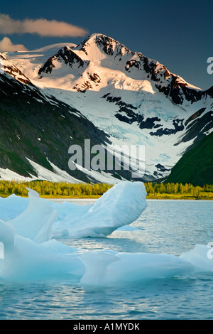 Iceberg flottant dans le lac Glacier Portage avec Byron la Forêt Nationale de Chugach Alaska Banque D'Images