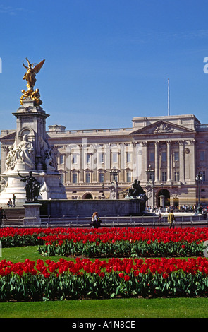 Parterres de tulipes rouges à l'extérieur du palais de Buckingham et le Monument de la reine Victoria London England Banque D'Images