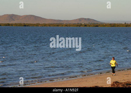 Whyalla foreshore Australie du Sud du golfe Spencer Banque D'Images