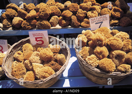 Pêcheur réparant ses filets, Pedi, île de Symi, Grèce Banque D'Images