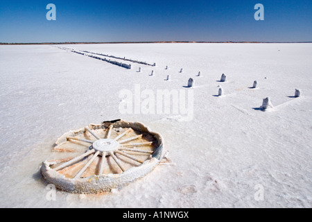 Incrustés de sel volant Lake Hart Stuart Highway près de Woomera en Australie du Sud Australie de l'Outback Banque D'Images