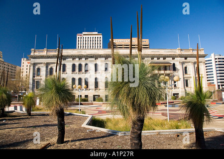 Arbres et herbe PARLEMENT Chambre Adelaide South Australia Australie Banque D'Images