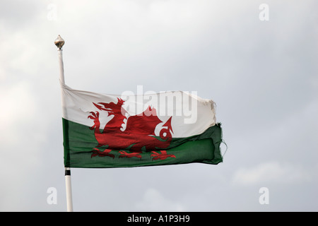 Le DRAPEAU DU PAYS DE GALLES à voler D'UN MÂT DANS LA BRISE. Banque D'Images