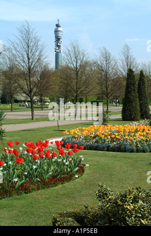 Regents Park Londres printemps fleurs bulbes en fleurs affichage tour de télécommunications BT au-delà Banque D'Images