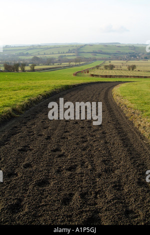 Polytrack galops dans le Nord de la région des Cotswolds Gloucestershire au-dessus du village de la formation de chevaux de Ford Banque D'Images