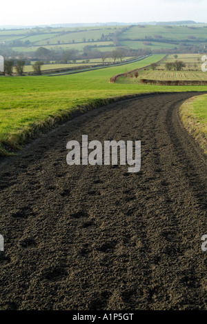 Polytrack galops dans le Nord de la région des Cotswolds Gloucestershire au-dessus du village de la formation de chevaux de Ford Banque D'Images