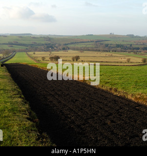 Polytrack galops dans le Nord de la région des Cotswolds Gloucestershire au-dessus du village de la formation de chevaux de Ford Banque D'Images