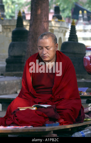 Un moine Bouddhiste Tibétain médite à l'ensemble du temple de la Mahabodhi à Bodhgaya dans Bihar en Inde Banque D'Images