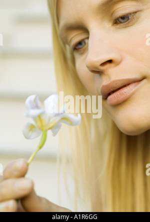 Woman looking at flower, close-up Banque D'Images