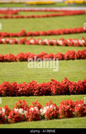 Fleurs de jardins Mirabell, à Salzbourg, Autriche Banque D'Images