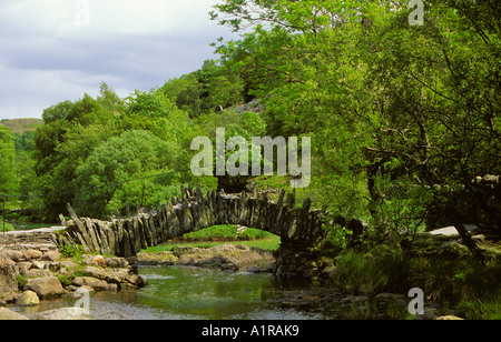 Pont Slaters près de Little Langdale Tarn en été Lake District National Park Cumbria Angleterre Royaume-Uni Grande-Bretagne Banque D'Images