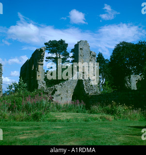 Ruines de l'abbaye de Jervaulx, près de Leyburn, Wensleydale, North Yorkshire, Angleterre, Royaume-Uni. Banque D'Images