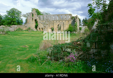 Ruines de l'abbaye de Jervaulx, près de Leyburn, Wensleydale, North Yorkshire, Angleterre, Royaume-Uni. Banque D'Images